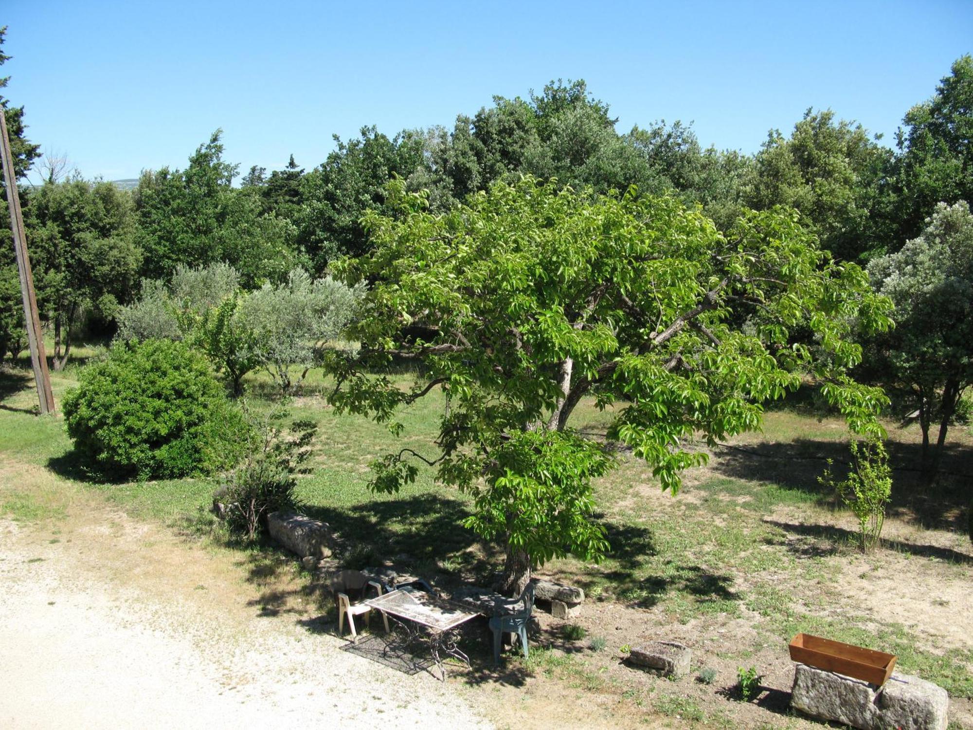 Bed & Breakfast Mas La Vitalis D'hotes LʼIsle-sur-la-Sorgue
