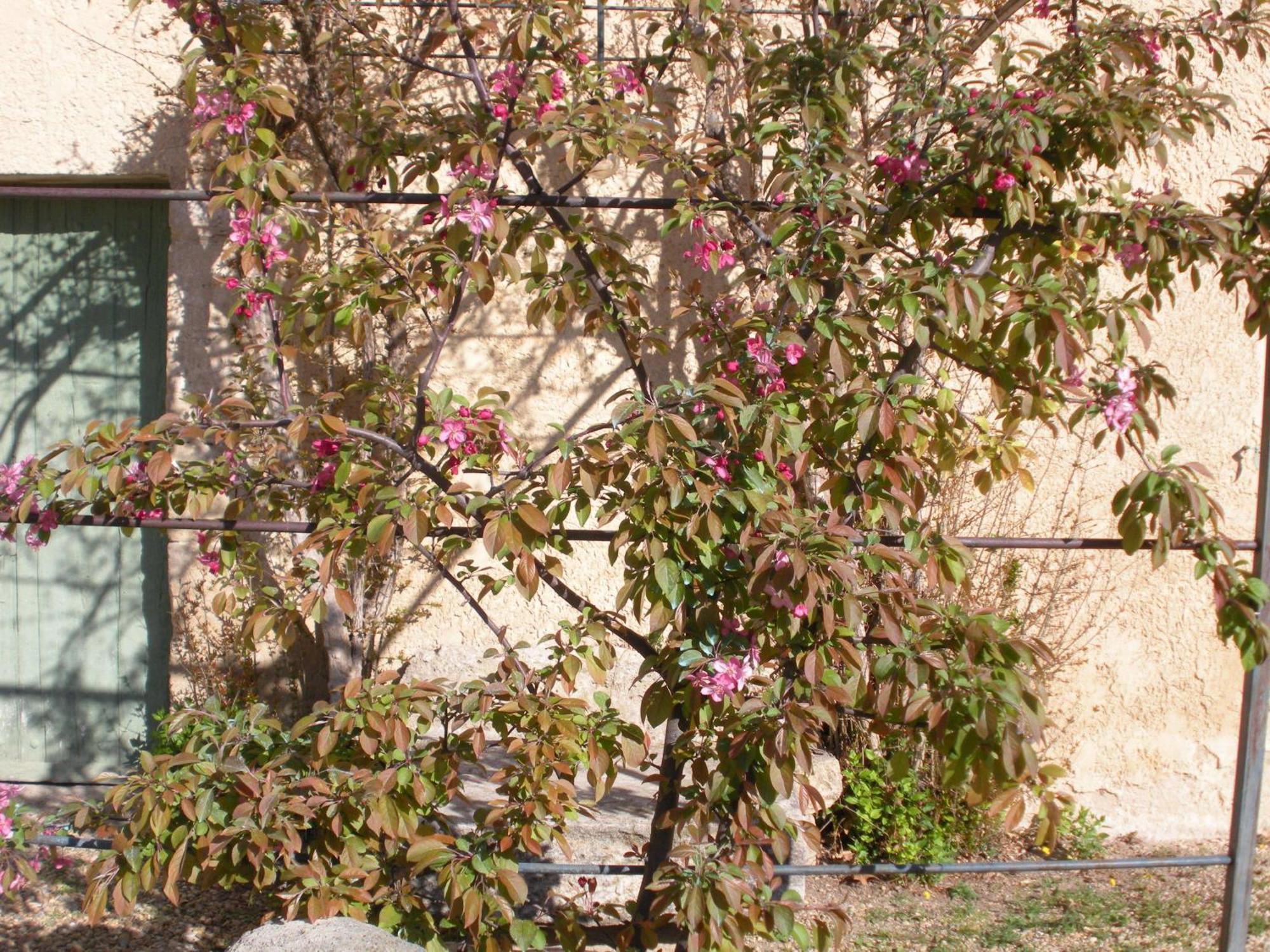 Bed & Breakfast Mas La Vitalis D'hotes LʼIsle-sur-la-Sorgue