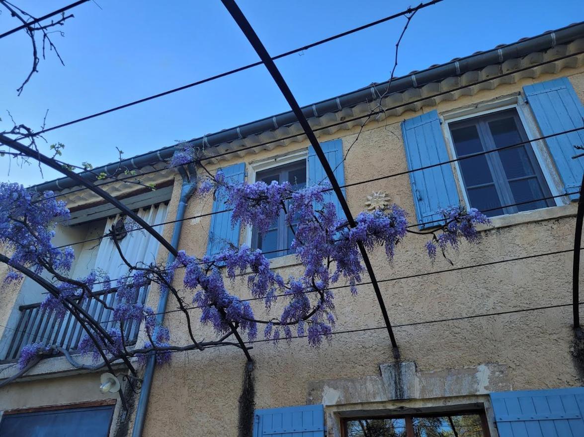 Mas La Vitalis D'hotes * LʼIsle-sur-la-Sorgue